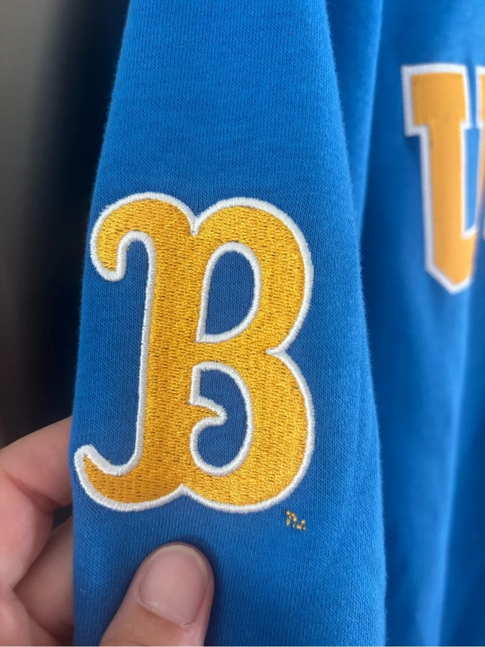 Unisex Jordan/Nike UCLA Bruins Royal Blue Crewneck