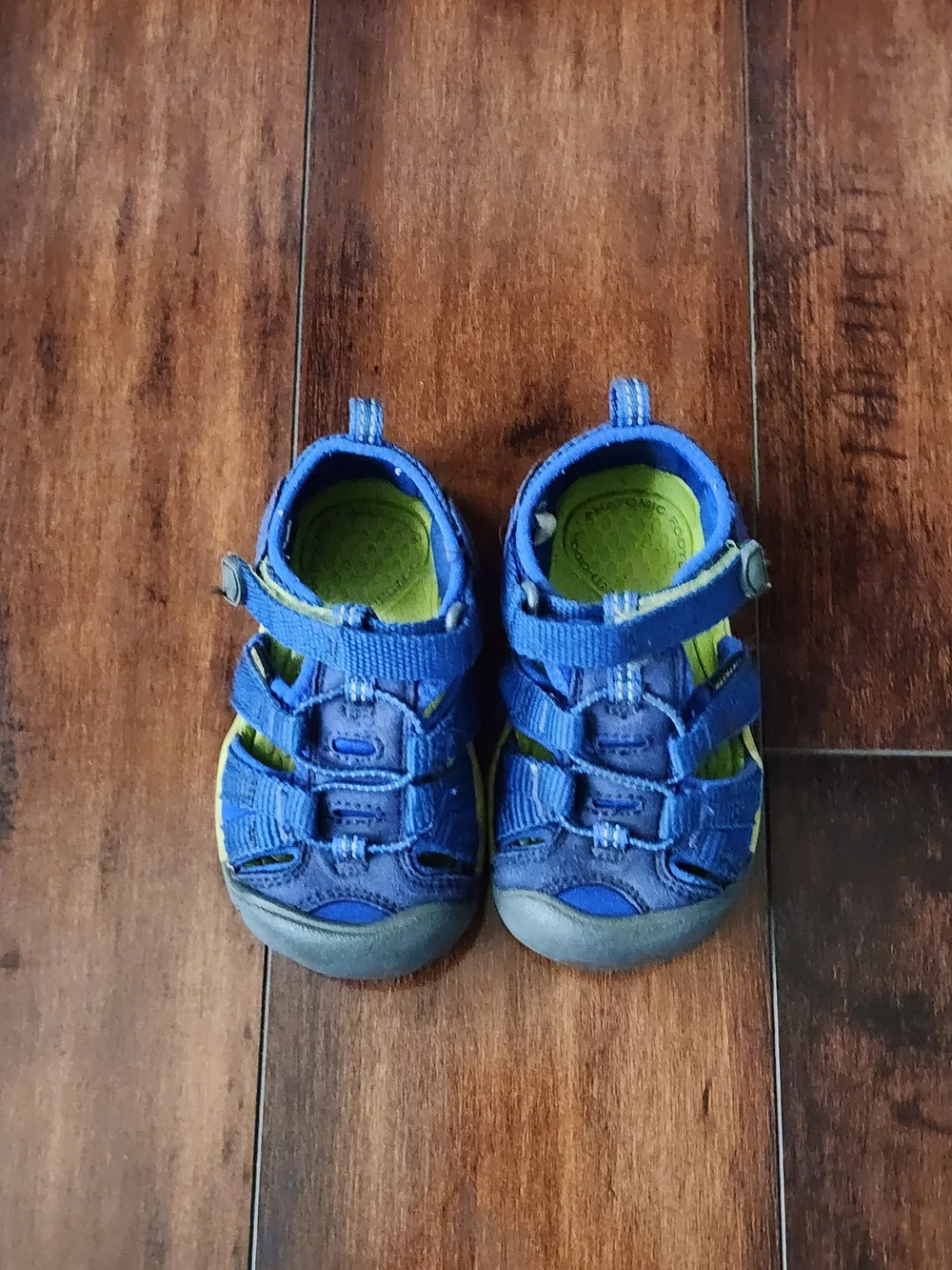 KEEN Toddler Newport H2 Sandals Blue Lime Green Size 6