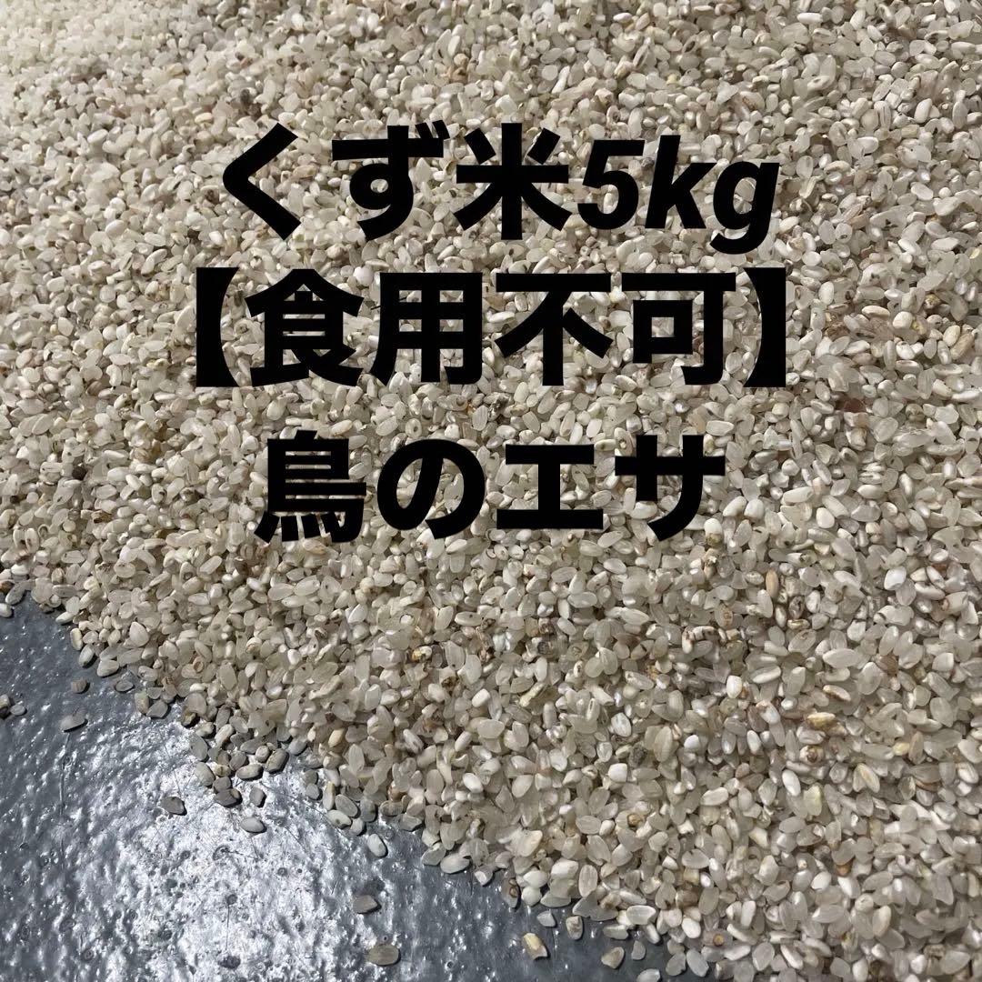 Broken Rice 5kg Bird Feed [Not for Human Consumption]