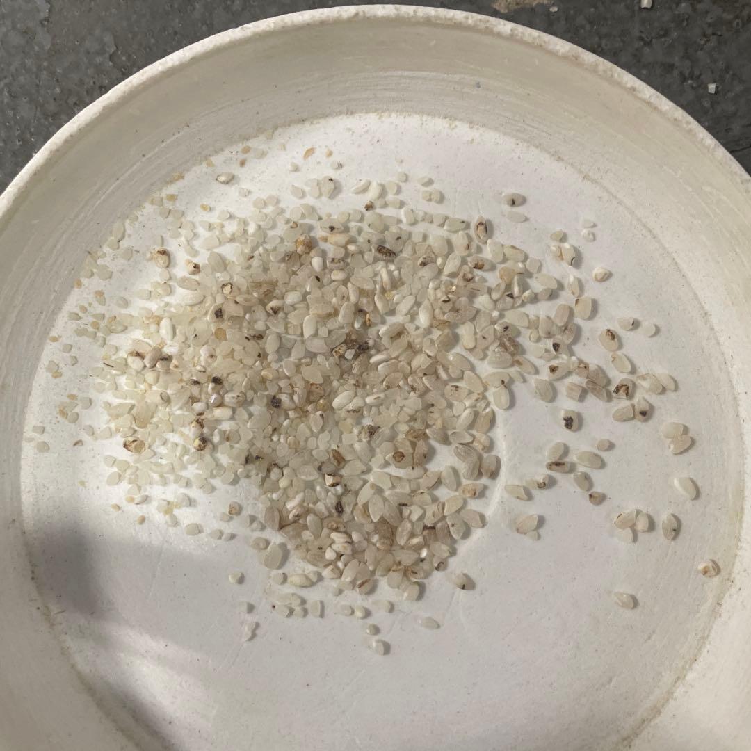 Broken Rice 5kg Bird Feed [Not for Human Consumption]