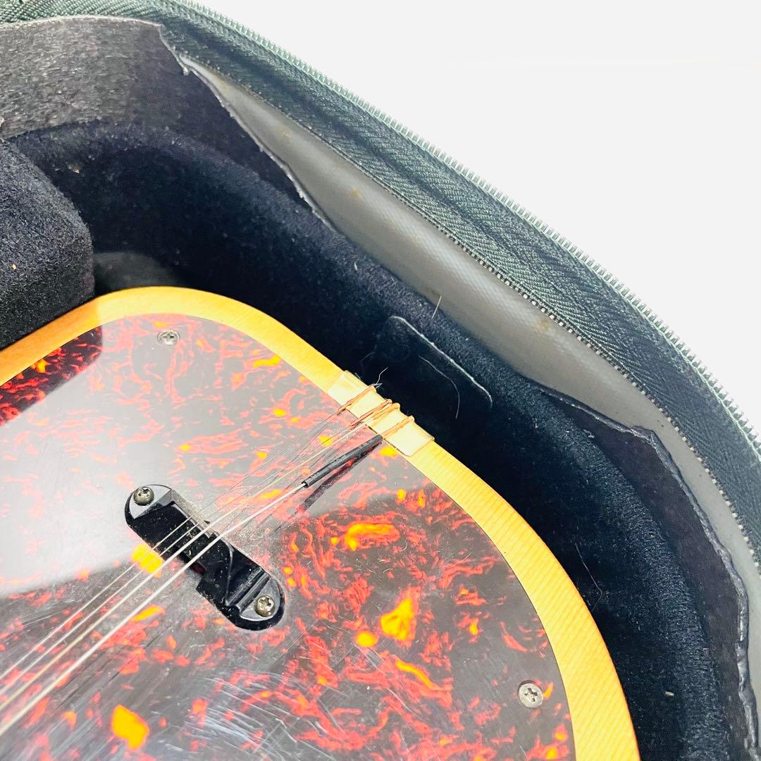 Excellent condition SUZUKI Taishogoto 