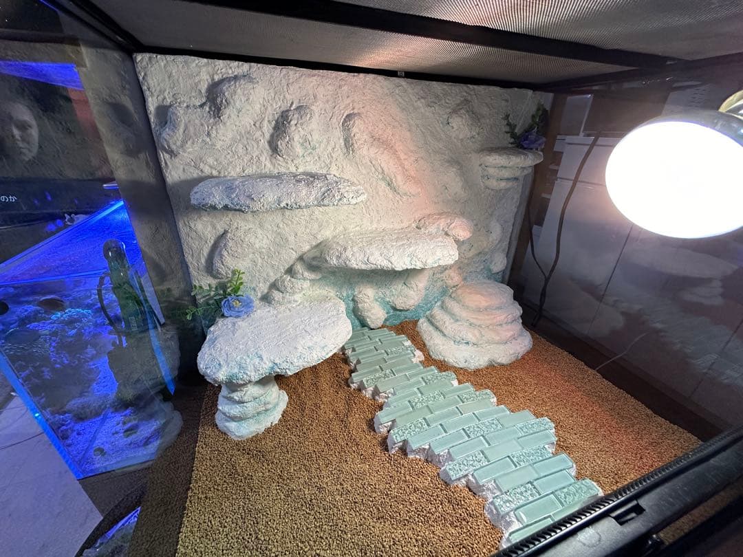 Reptile Tank. Backboard. 3 Shelter Set