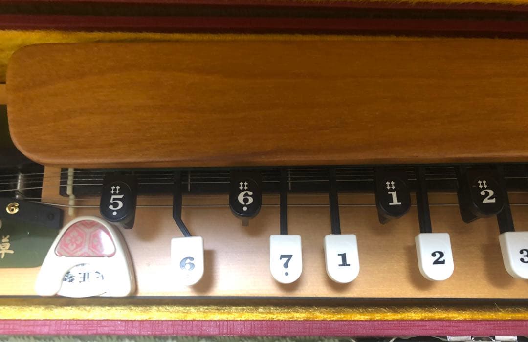 Taishō koto 