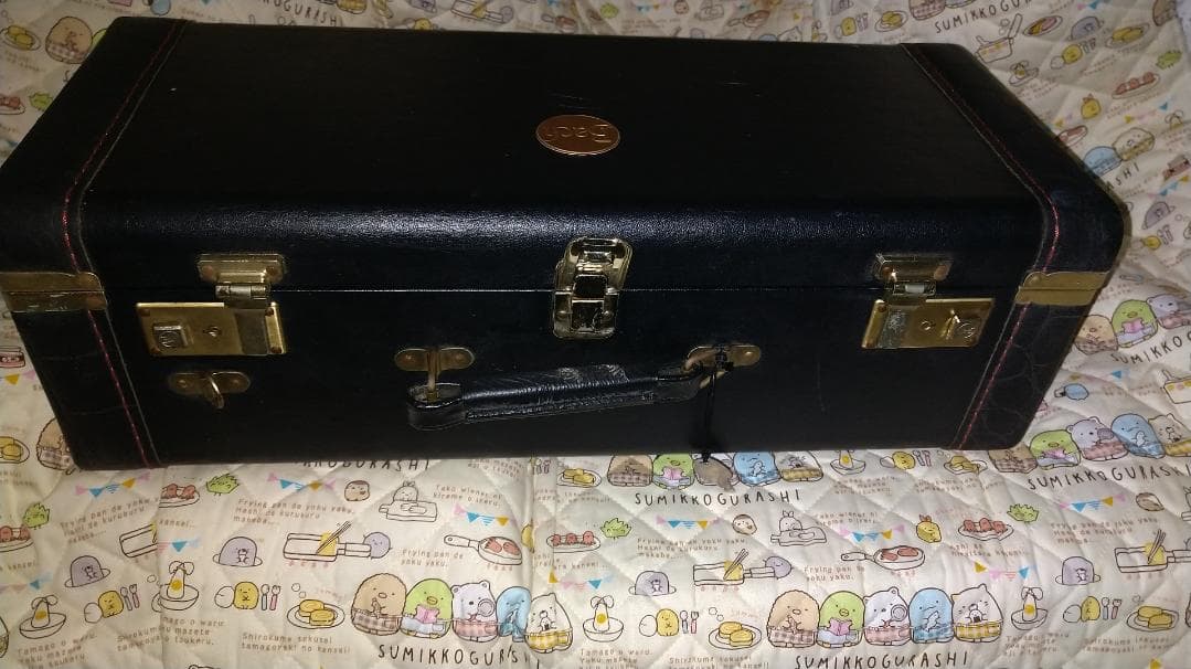 Bach Trumpet Double Case