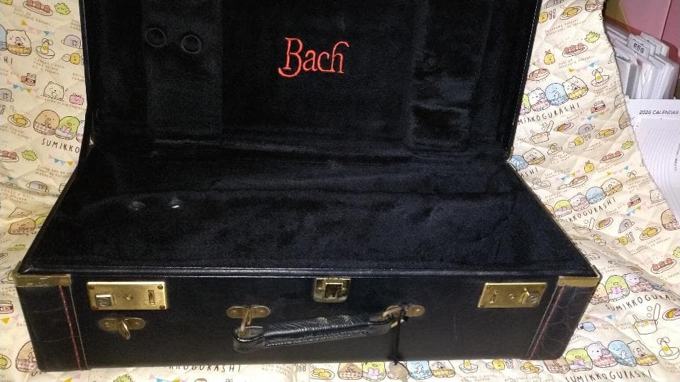 Bach Trumpet Double Case