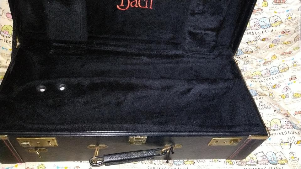 Bach Trumpet Double Case