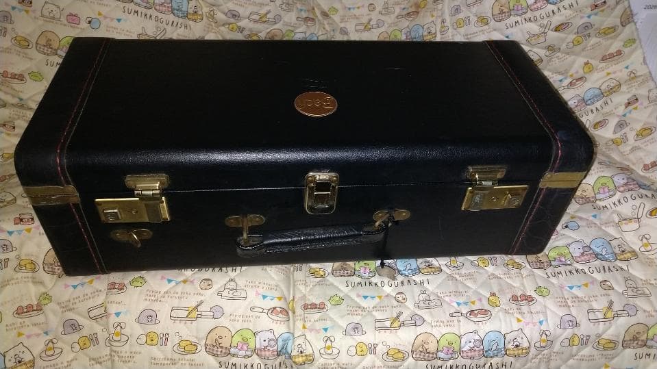 Bach Trumpet Double Case