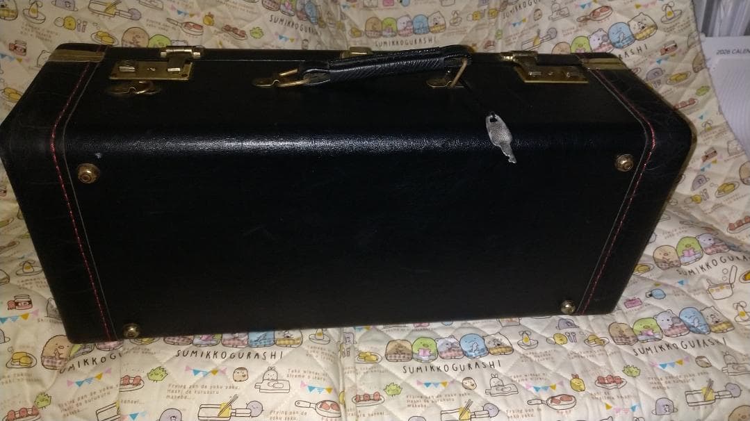 Bach Trumpet Double Case