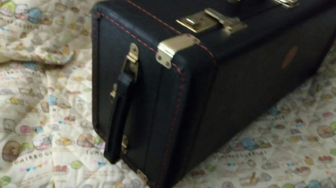 Bach Trumpet Double Case