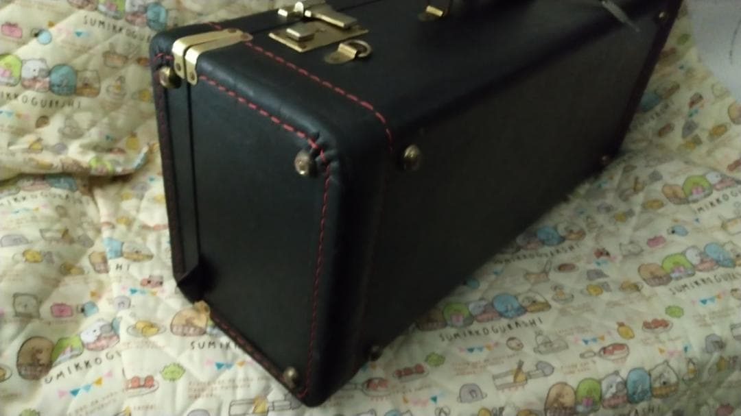Bach Trumpet Double Case