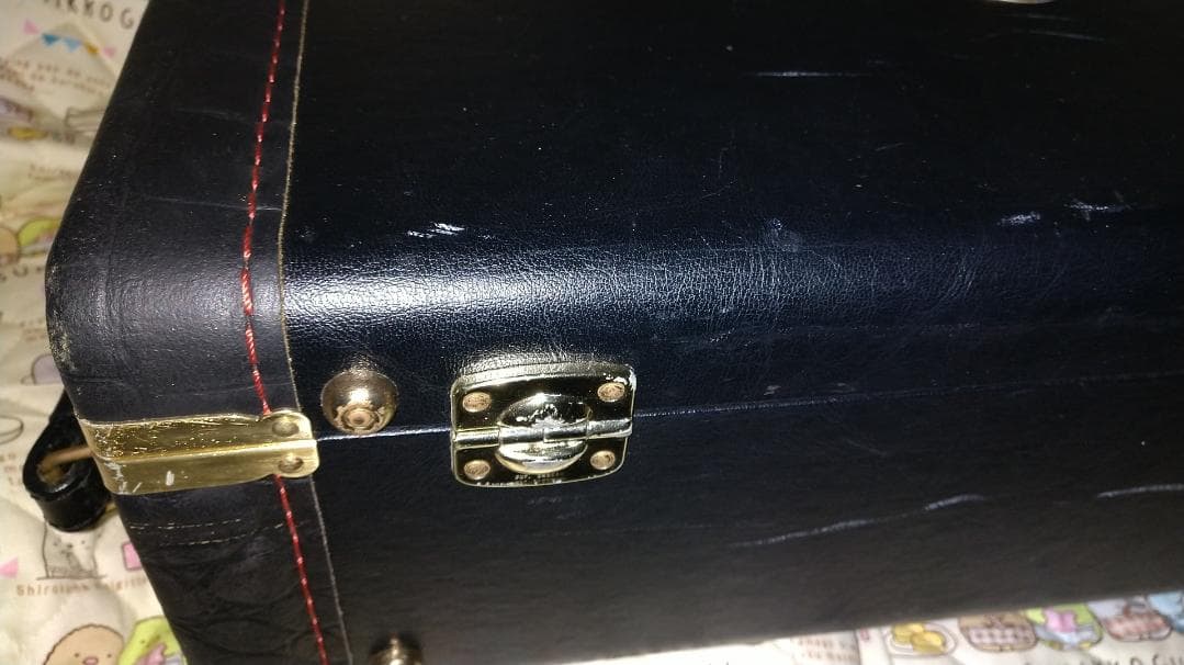 Bach Trumpet Double Case