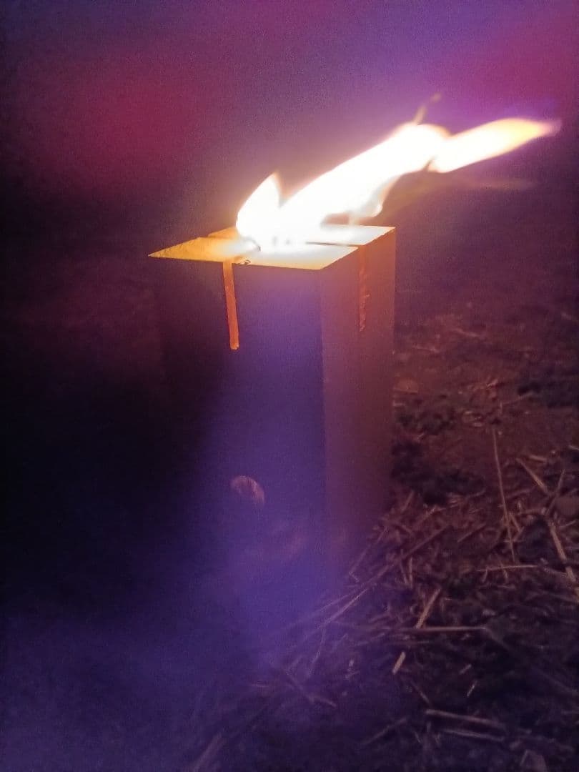 Swedish Torch Camp