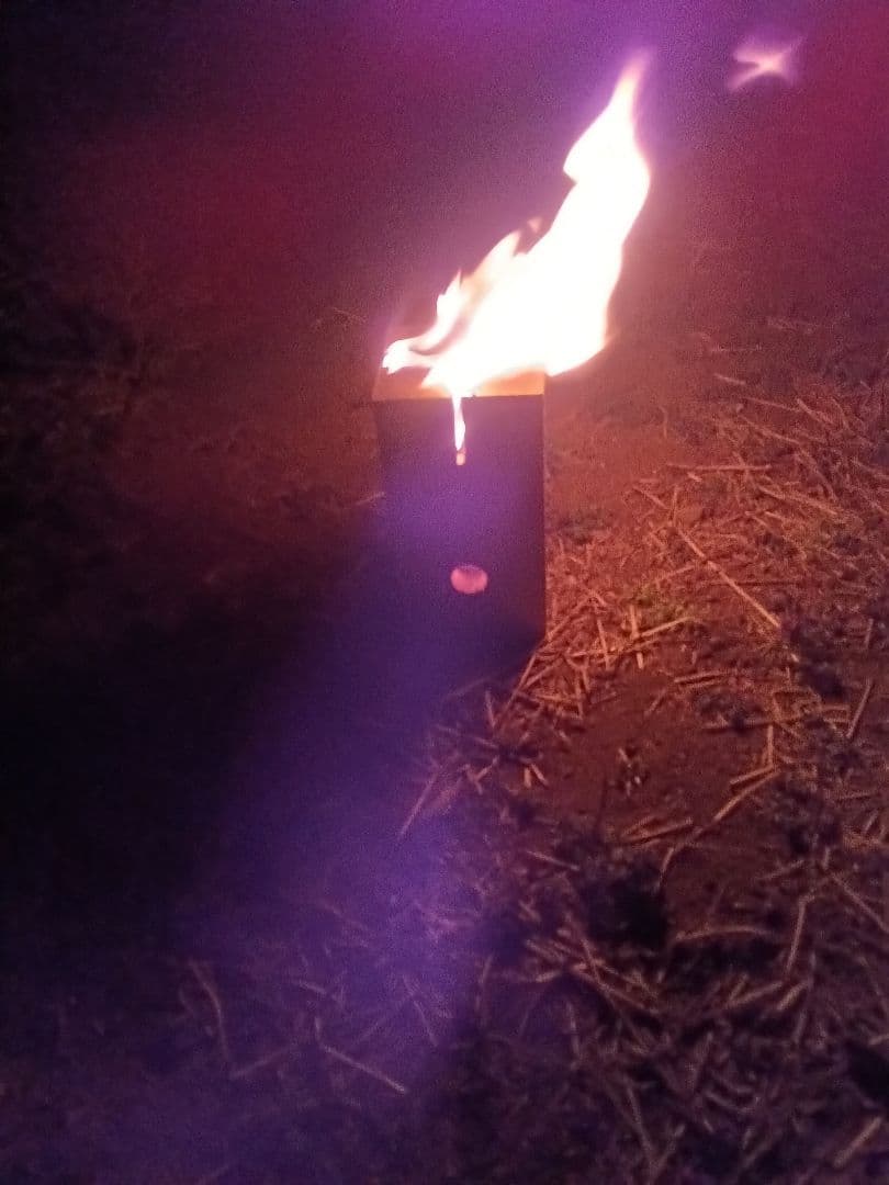 Swedish Torch Camp