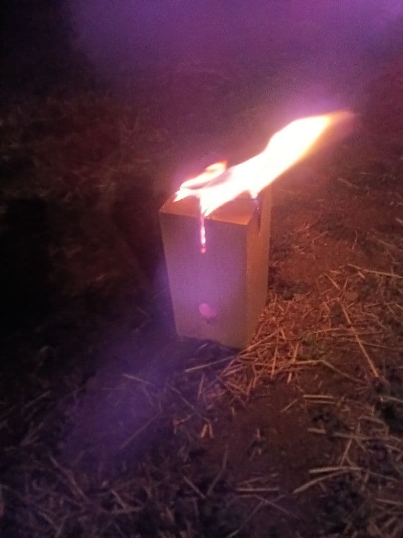 Swedish Torch Camp