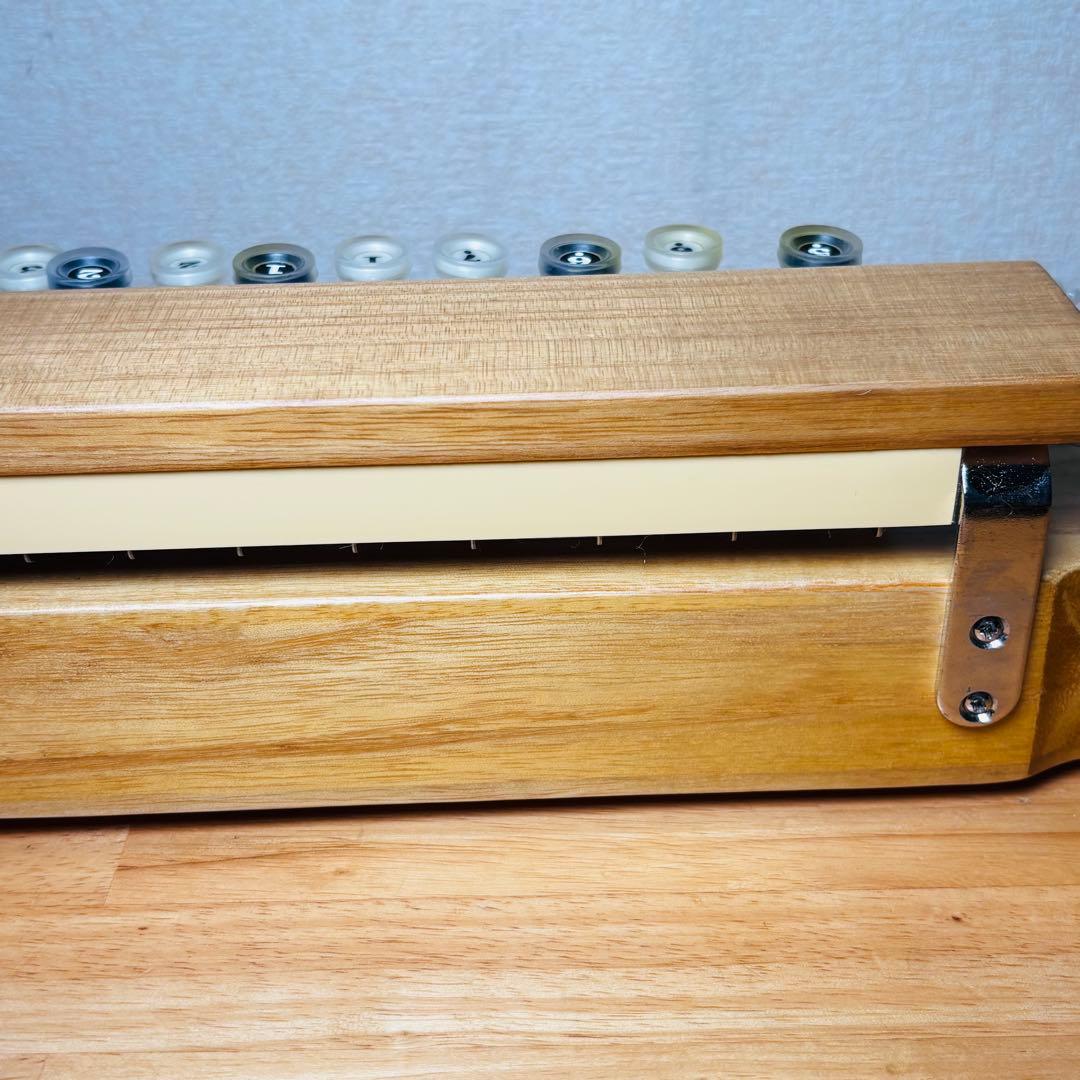 Taishogoto Shikishima Kotodenryu Innocence Finish Wooden Hard Case Included String Instrument