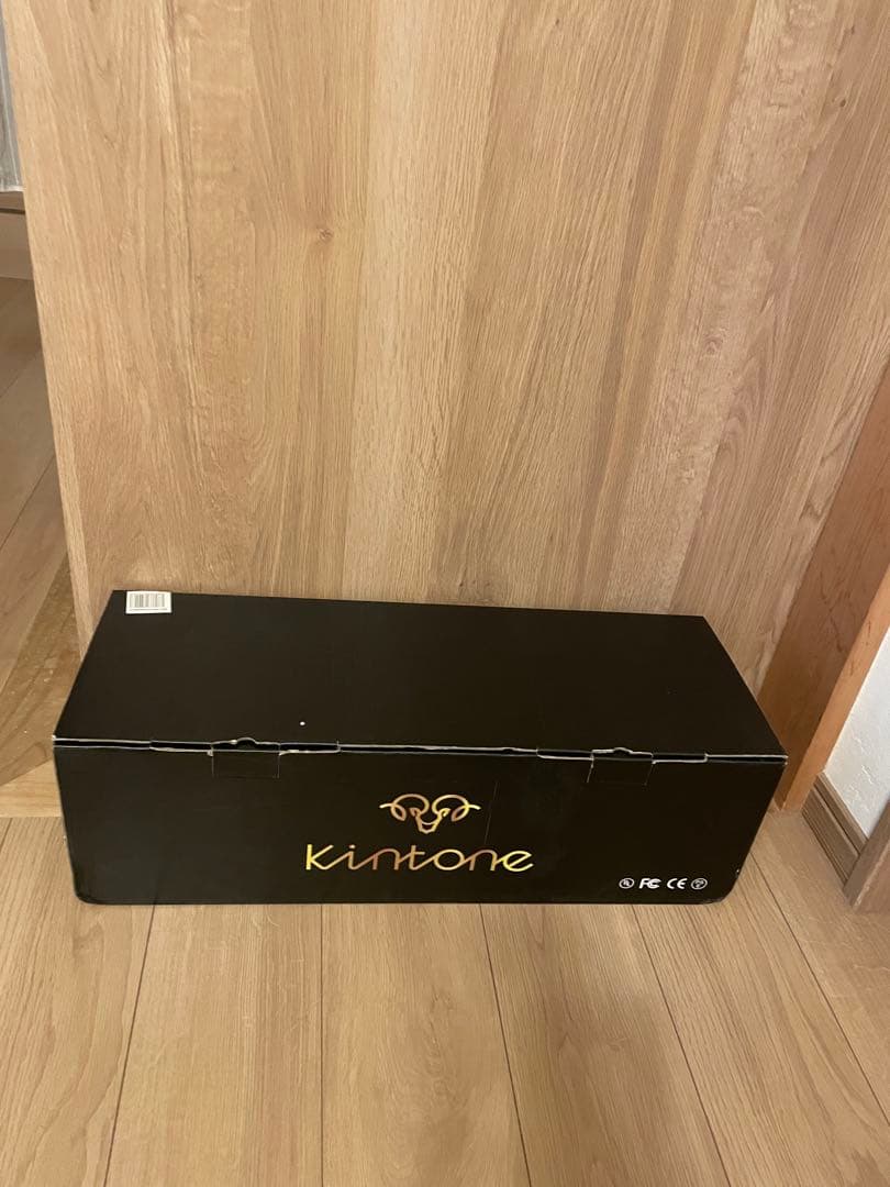 Kintone Classic DO1D Segway - Black - New