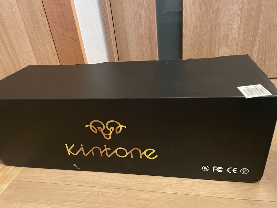 Kintone Classic DO1D Segway - Black - New
