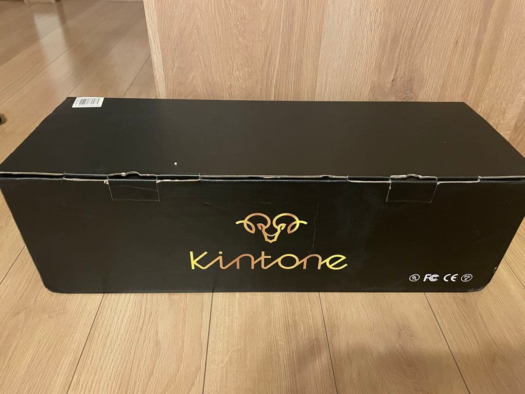 Kintone Classic DO1D Segway - Black - New