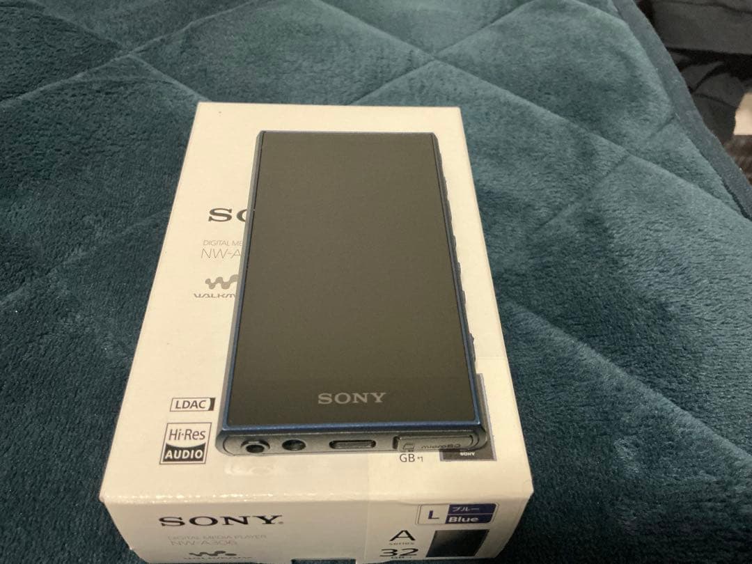 SONY NW-A306 32GB Blue